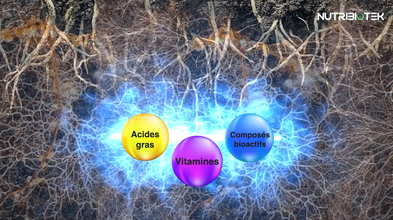 recherche scientifique_0